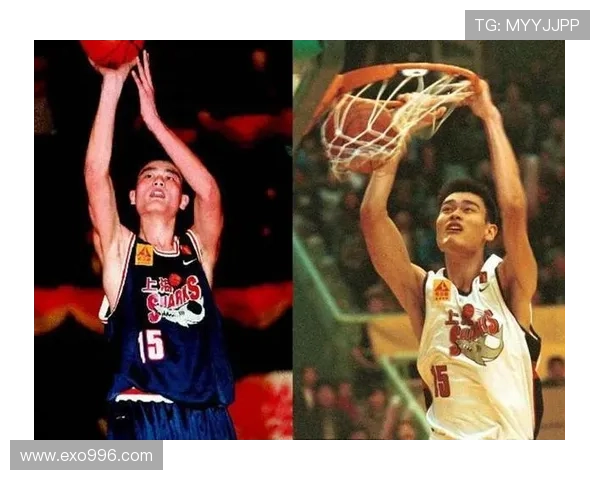 龙王对姚明的高度评价与篮球精神的传承与影响分析