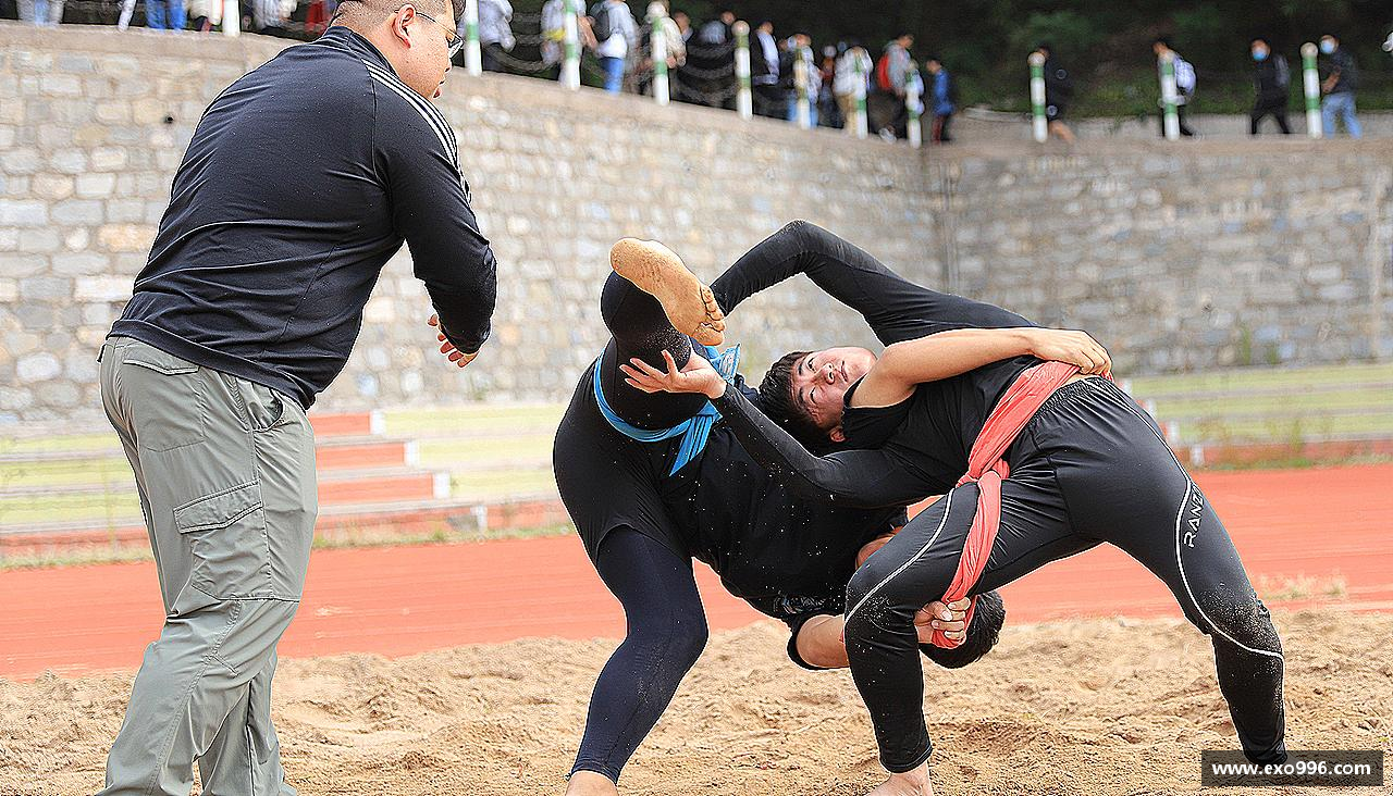 333tiyu勇攀高峰，冠军在望！